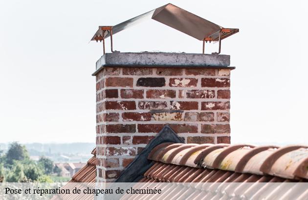 pose-et-reparation-de-chapeau-de-cheminee