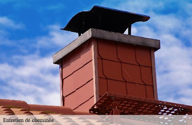 entretien-de-cheminee